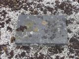 image of grave number 154256